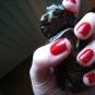 opi mv 005.jpg